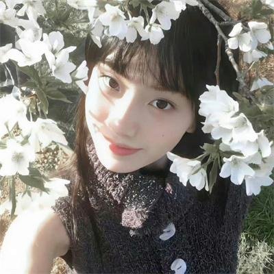 报告王爷，王妃是只猫2